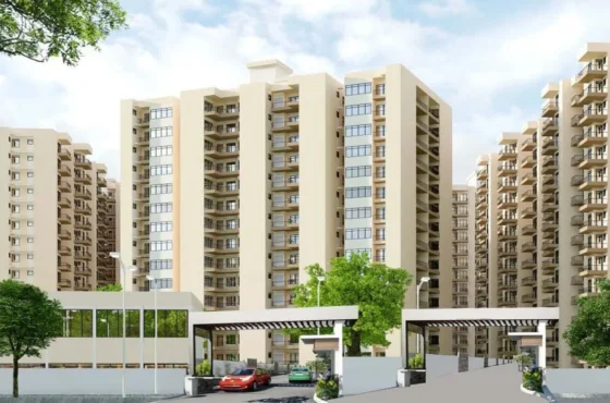 Discover Luxury Living with AIPL 103 in Gurgaon