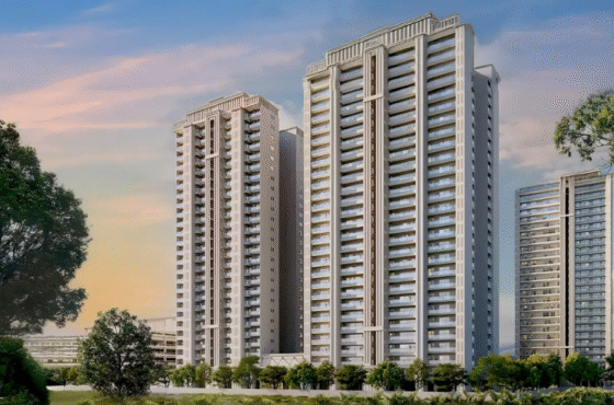 Discover Lifestyle with APM Realtors in Gurgaon